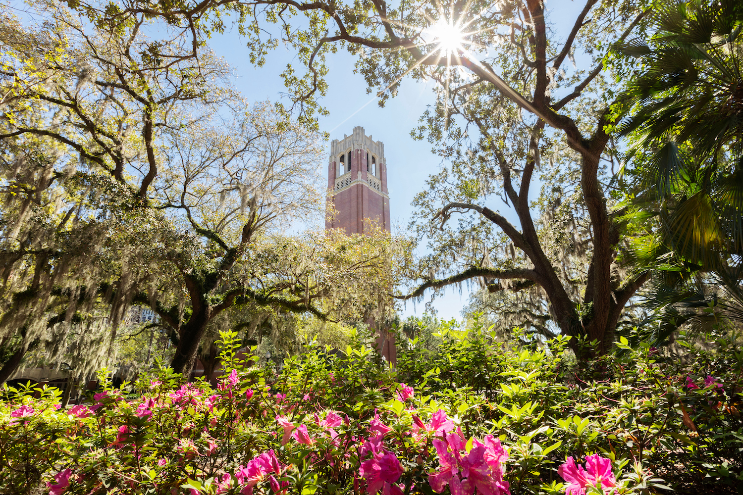 University of Florida Century Tower